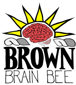 Brown Brain Bee